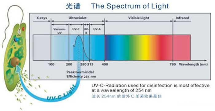 科普！紫外線殺菌燈對人體影響及正確使用方法